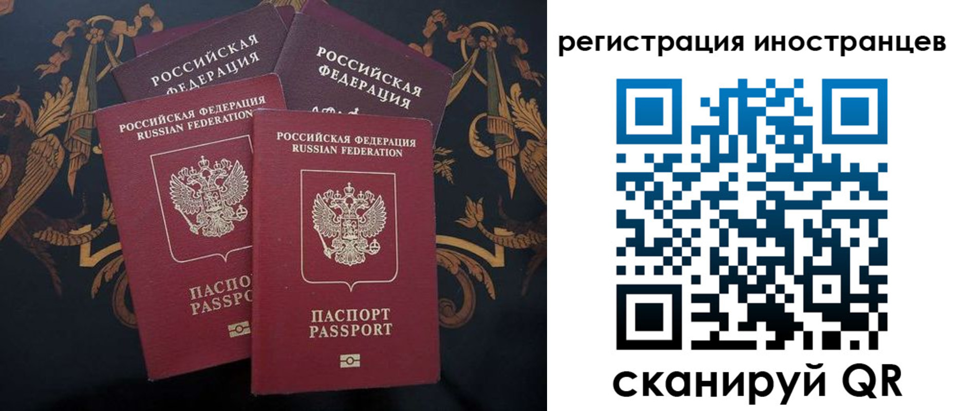 прописка гарантия в Ульяновске